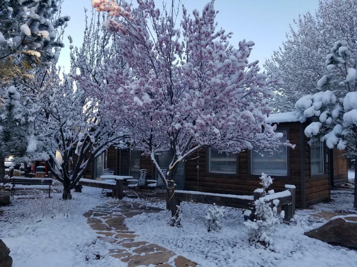West Winds Lodge Ruidoso Esterno foto